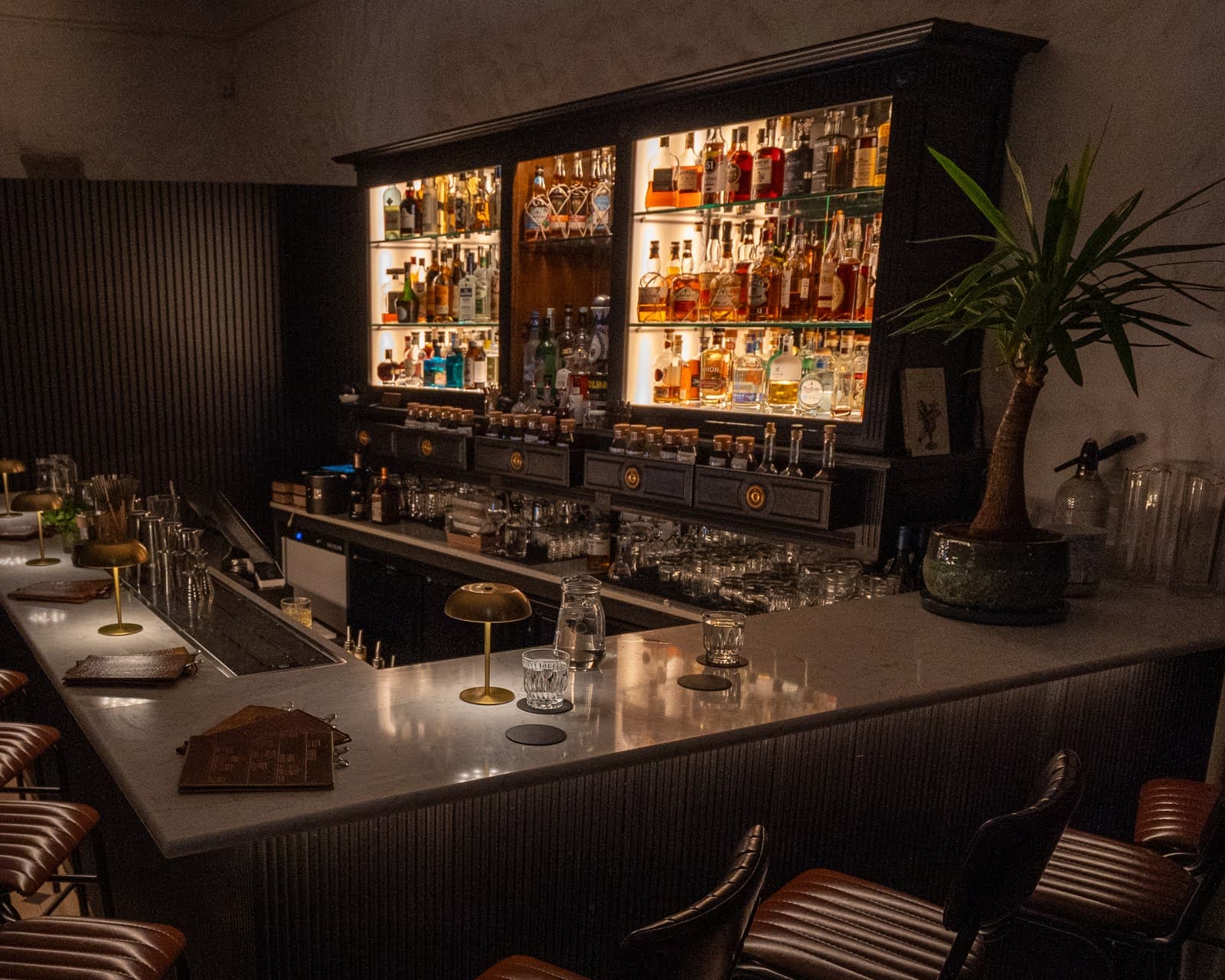 Craft cocktail preparation